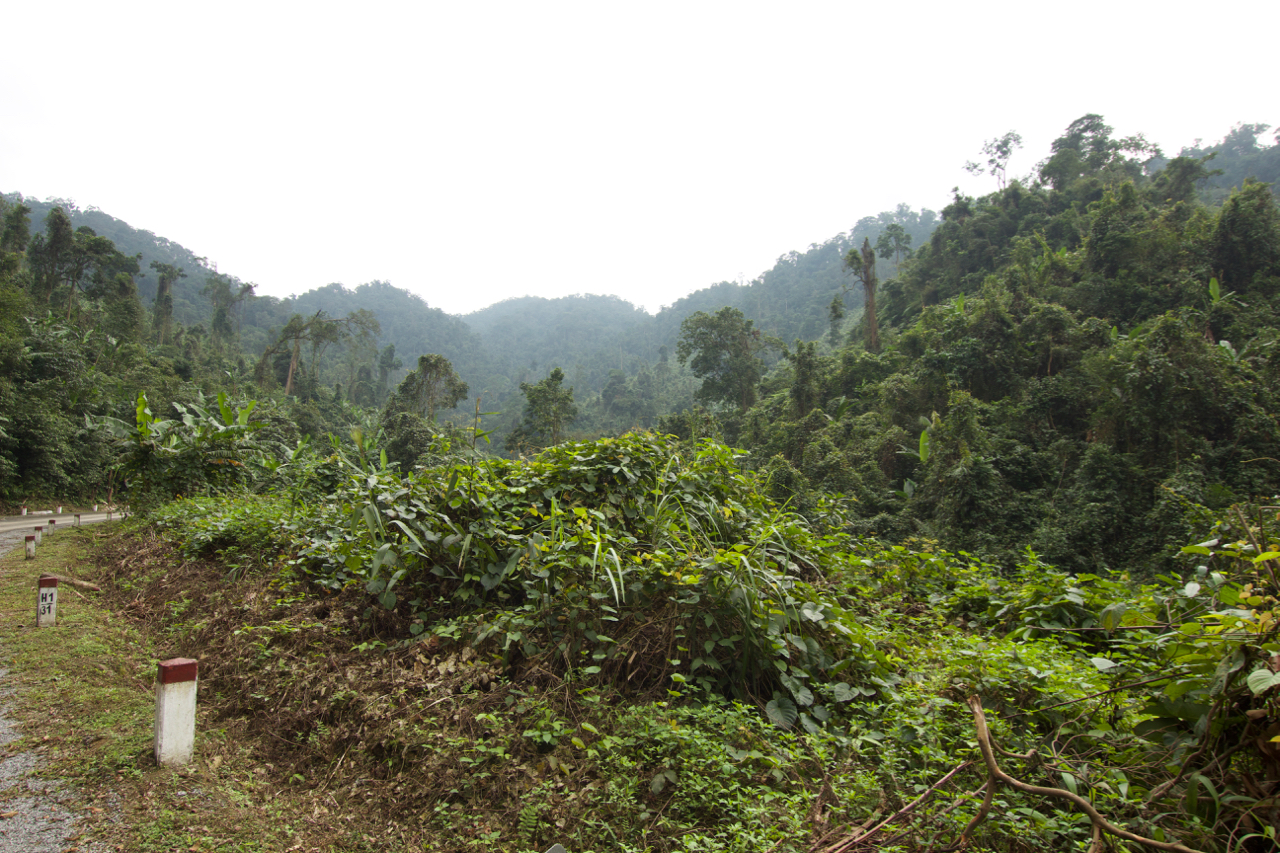 Phong Nha – Hue