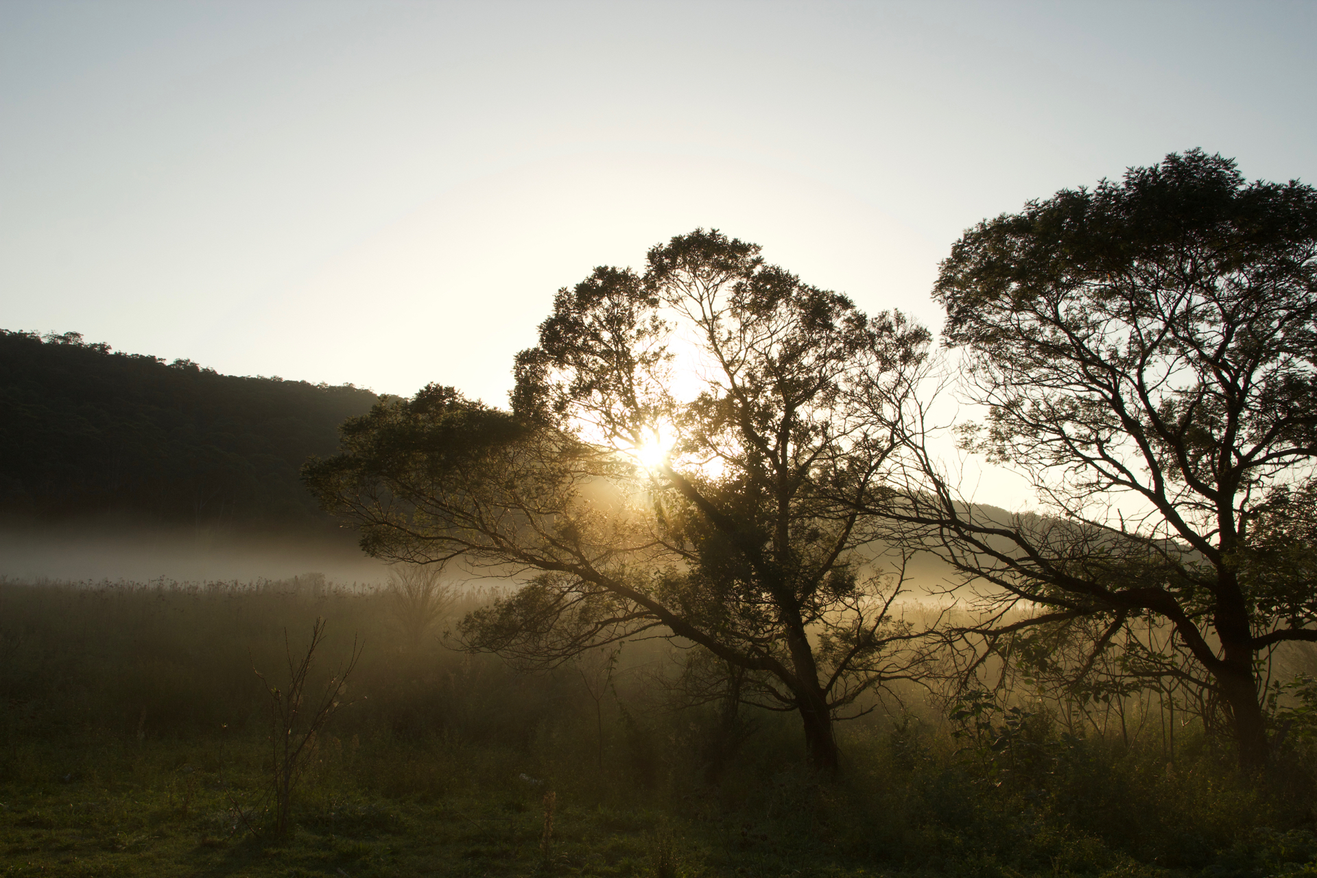 Australien Roadtrip Teil 1